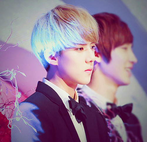 ☆ Oh SeHun ☆ Mỹ nhân trà sữa ☆ - Page 3 Tumblr_me9jx44eT91qeay6co1_500