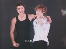  Super Junior ❥                                - صفحة 5 Tumblr_megrywRqrG1rsztq4o3_250