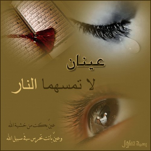 من يشتري دموع عينيك ..؟  Tumblr_l7qmmcmh4U1qcolkko1_500