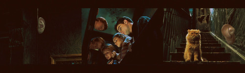 Hermione, kedinden nefret ediyorum! Tumblr_l7rn3laEj21qcnjmio1_500