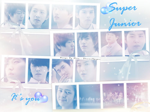 super junior its you Tumblr_lcf10qRGdQ1qdk9mdo1_500