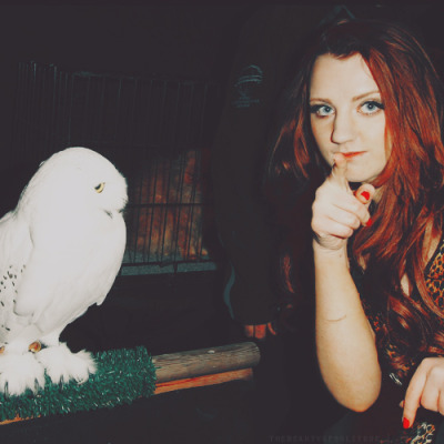 Fan Club de Luna Lovegood/Evanna Lynch - Page 3 Tumblr_ldf3egQ46W1qa1rooo1_400