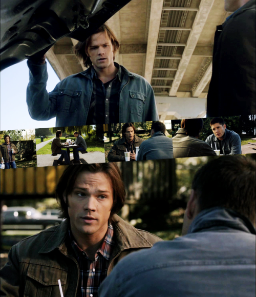 Come On, you little bastard ϟ SAM & DEAN Tumblr_lg7mz66RMt1qan9v7o1_500