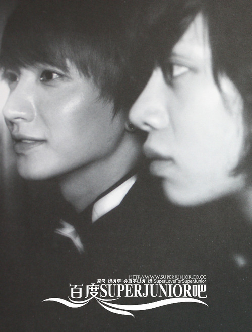 SuJu Pairings~ - Page 2 Tumblr_lit0wpaIXJ1qhzu8qo1_500