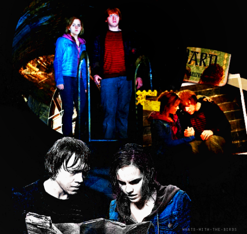 Fan Club de Ron & Hermione - Page 31 Tumblr_lk9fp0Xzoj1qfxghho1_500