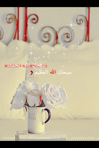 كولكشن تصاميم اسلاميه Tumblr_lpddsgsH661qku9gmo1_400