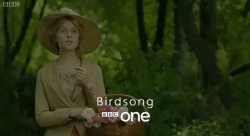 Birdsong BBC 2012, adaptée du roman de Sebastian Faulks    Tumblr_lqmfm2a9uB1qci06eo5_250