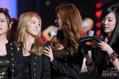 [PICS+GIFS][6/11/2011] ღ♥ღ(¯`HyoHyun´¯)ღ♥ღ Kim Chó♥Seo Mèo, Khu rừng xanh "Du côn cạp Ếch con" - Page 2 Tumblr_lslxgbWOXP1qmbgpmo1_500