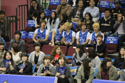 111016 SHINee @ Seoul Samsung Thunders Basketball Team Tumblr_lt5rewCx411qbdtc2o1_500