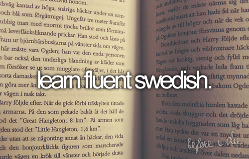 Bucket List Tumblr_lt8g0bFUgd1r29t5yo1_500