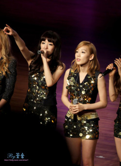 [PIC+VID][7/10/2011]∴♥∴ TaeNy ∴♥∴ Happy Heaven ∴♥∴ Happy New Year 2012 ∴♥∴ Welcome to our LOVE ∴♥∴  - Page 34 Tumblr_lwhgyyMKo51r1vek8o3_250