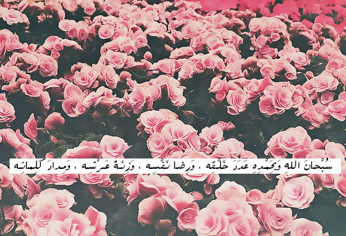 مدؤنةةُ مميزههً ▪ღღألڪْۉטּ مـٍטּ دۉטּـي « مـٍشڪْڸًـ?ً ღღ▪ - صفحة 23 Tumblr_m1w3osh8UG1rsrg51o1_500