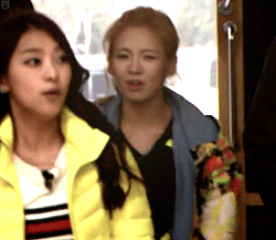 [PIC][GIFS]Hyo và ngựa Tumblr_m27990Lyxi1qkolxgo1_250