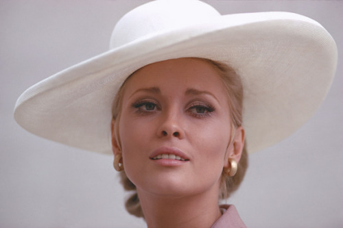 Faye Dunaway - Page 2 Tumblr_m2brzjVSsL1qcx3szo1_500