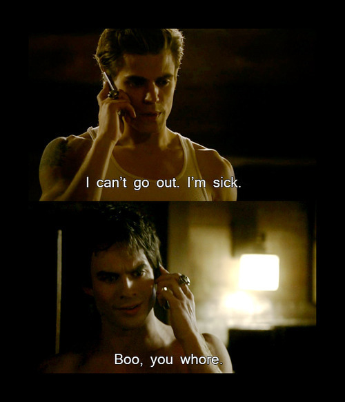 Stefan & Damon Tumblr_l4tc6wjR3Z1qad56lo1_500