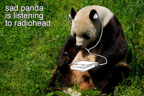 PANDA FAN! - Página 2 Tumblr_l6jj3nBg4A1qzaxefo1_500