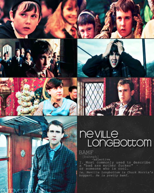 The Deathly Hallows Part One - Page 8 Tumblr_lbyg5vvO2D1qew5eio1_500