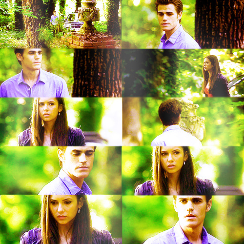 STEFAN&ELENA - Raconte moi tout Tumblr_lk6rctfsZc1qj6y2ao1_500