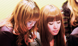 [PICS][GIFS][21/08/2011] Những khoảnh khắc đáng yêu cực kì của TaeNy  Tumblr_lq9dnwEgSF1ql4o70o4_250