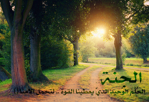 ♥ عزيزة نفسـ ♥ - صفحة 2 Tumblr_lz57r0wEZA1r6qdymo1_500