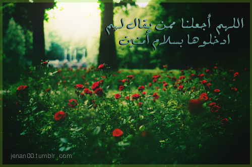 _ღعندما يتمرد البوحـ على كبرياء الصمتღ - صفحة 5 Tumblr_m0qnqfn43q1r5ymvmo1_500