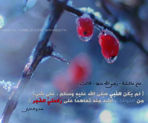 احاديث نبوية شريفة Tumblr_m1ggq2zblP1qa0em7o1_500