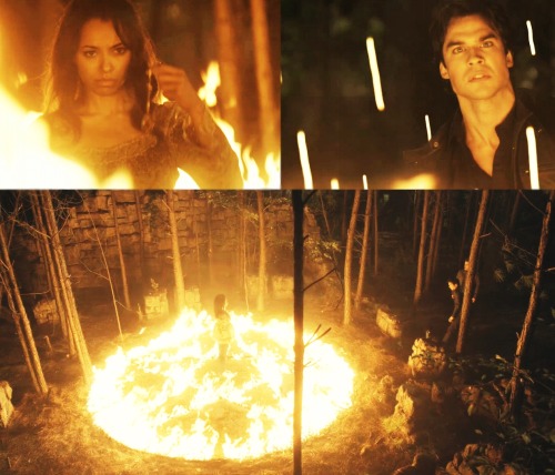 Bilder aus/über TVD. Tumblr_l8b5lb4Rkn1qdz3mzo1_500