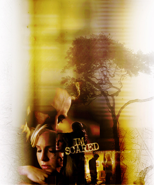 Tyler/Caroline (TVD) #1: Parce que coucher avec son ennemi, c'est tellement plus fun - Page 10 Tumblr_le05u1kALv1qd8v4ho1_500