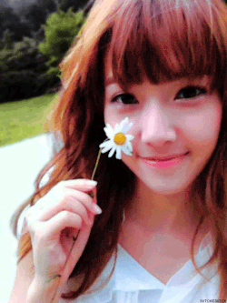 Jessica (Jessica Jung Sooyeon 제시카정수연) - Page 3 Tumblr_lortqndifQ1qapm8qo2_250