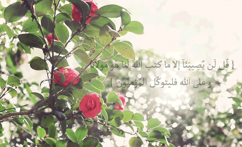 اللهم أرزقنا الرضا .... Tumblr_lq7hrvHWLR1qe6yyvo1_500