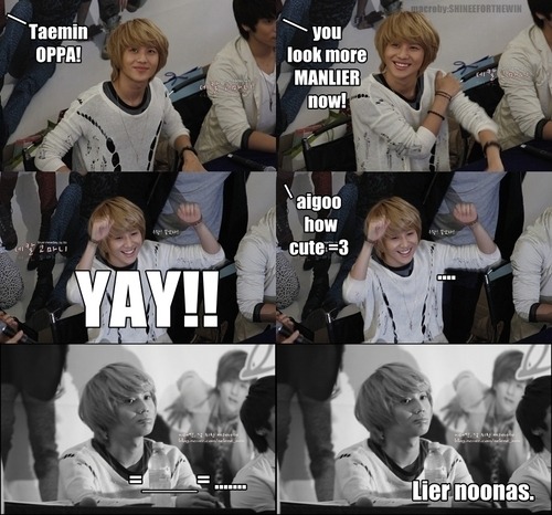 SHINee Macros Tumblr_lr26ejBAv51r2h0aco1_500