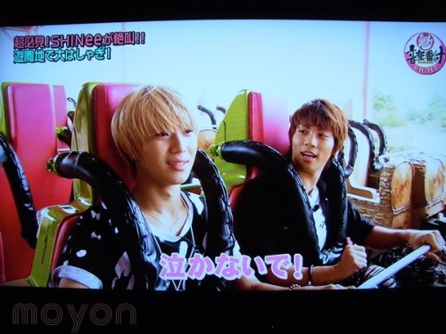 111019 SHINee en Fuji TV  Tumblr_ltbqj0wJkM1qg21qvo1_500