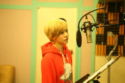 [PIC][16-12-2011]Sunny & Taemin lồng tiếng cho bộ phim hoạt hình "Koala Kid: Birth of a Hero" Tumblr_lwa1056Fkc1r7omflo1_500