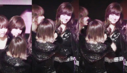 [PIC+VID+GIF][20/1/2012]∴♥∴ TaeNy ∴♥∴ Happy's Heaven ∴♥∴ Twinkle - Taeny Lấp Lánh - TaeTiSeo  ∴♥∴ - Page 3 Tumblr_ly3w7jRh9P1qe39tho3_250