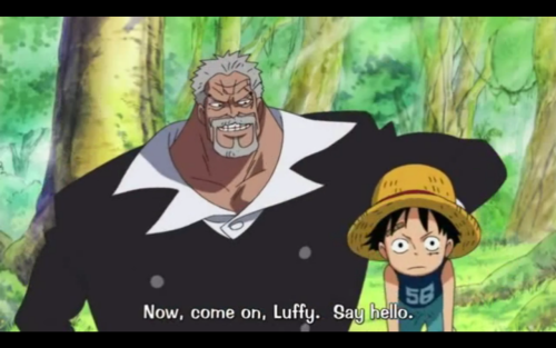 One Piece .gif Tumblr_m0ydwsxCLK1qar3foo1_500