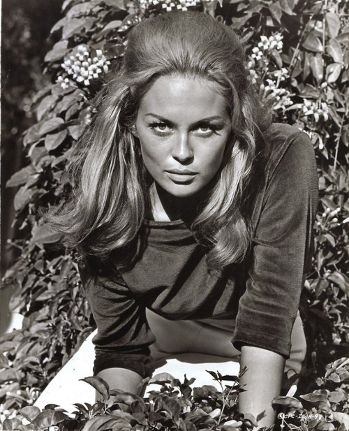 Faye Dunaway - Page 2 Tumblr_m2bdxyUfzg1rtze0zo1_500