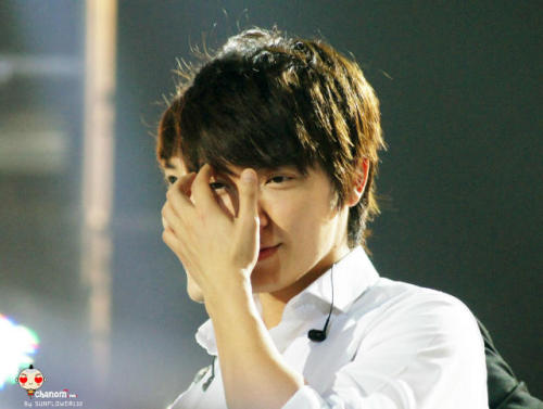 [صور] super junior ss4 Tumblr_m3db7pWq9b1qfwvmmo2_500