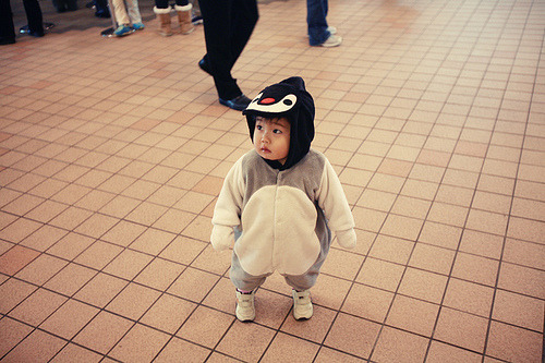 Adorable Overload Tumblr_l3jqsu2DE11qamsluo1_500