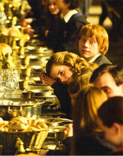 Fan Club de Ron & Hermione - Page 16 Tumblr_lfllp6sK021qepnovo1_500