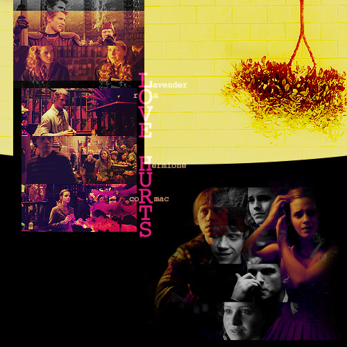 Fan Club de Ron & Hermione - Page 31 Tumblr_ll5krbIUcC1qi0gdeo1_500