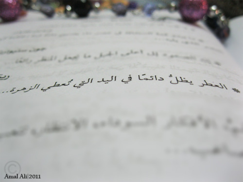 وَ الروَحُ بِلا رحمْتِكَ ياربَيّ تضَيييييييقّ ♥ »  - صفحة 6 Tumblr_lle4oxFq7a1qih4g5o1_500