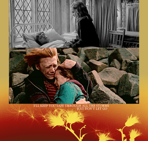 Fan Club de Ron & Hermione - Page 32 Tumblr_ln0fmz72Lh1qg8w6do1_500