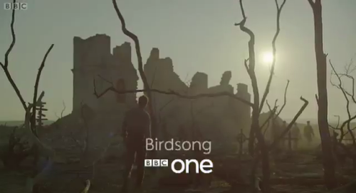 Birdsong BBC 2012, adaptée du roman de Sebastian Faulks    Tumblr_lqmfm2a9uB1qci06eo3_500