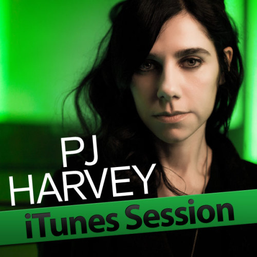 PJ Harvey - Let England Shake Tumblr_lr8iquAnpC1qg8e47o1_500