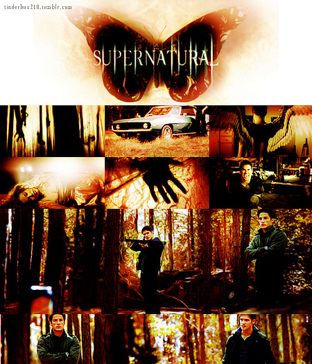 [TVD] Icons, bans, walls et manip trouvés sur le net - Page 4 Tumblr_lx2kfnRzWX1qfc0m2o1_500