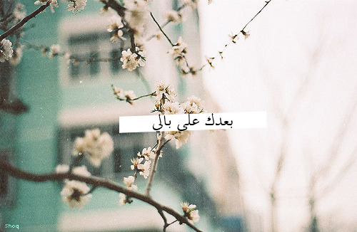 ضحًتٌک دٍايِمً لَغُيِريِ وٌقُسِوٌتٌک دٍايِمً عٌلَيِ - صفحة 2 Tumblr_m06c7dzHIN1rp7z6po1_500