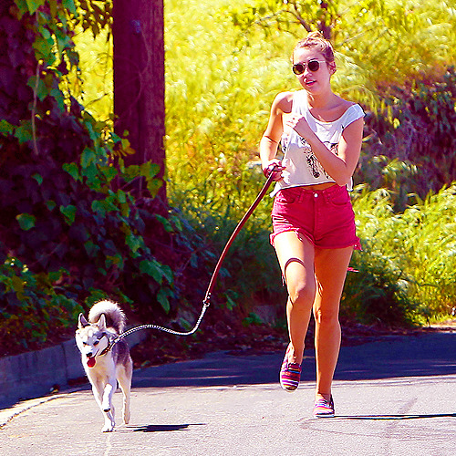 Miley Cyrus [2] - Page 38 Tumblr_m0m5v6xJse1r89kk8o1_500