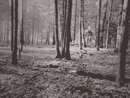 Някъде из гората. Tumblr_m0o01azrry1rpkj6no1_500