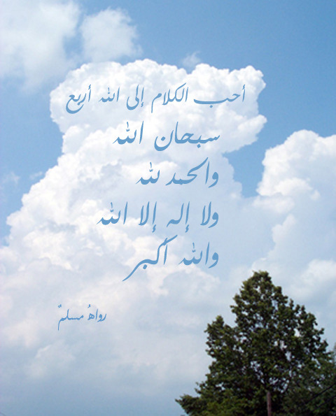 مدؤنةةُ مميزههً ▪ღღألڪْۉטּ مـٍטּ دۉטּـي « مـٍشڪْڸًـ?ً ღღ▪ - صفحة 23 Tumblr_m2odi0fH0Z1r0uzvlo1_500