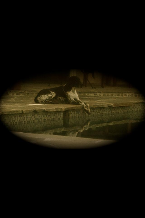 BTK Bill:'relaxando' Na Piscina  Tumblr_m2wyqxVXX91r52uw5o2_500